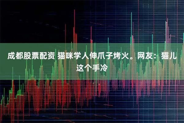 成都股票配资 猫咪学人伸爪子烤火。网友：猫儿这个手冷