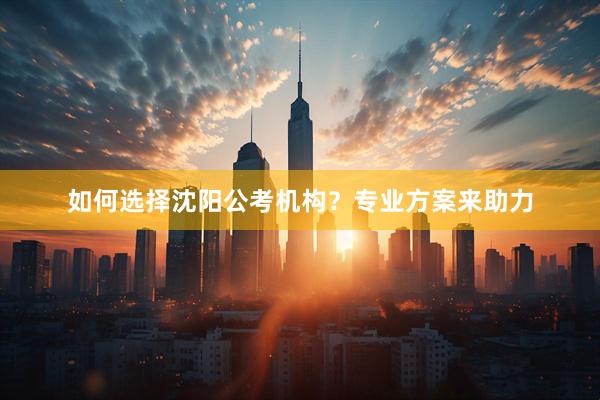 如何选择沈阳公考机构？专业方案来助力