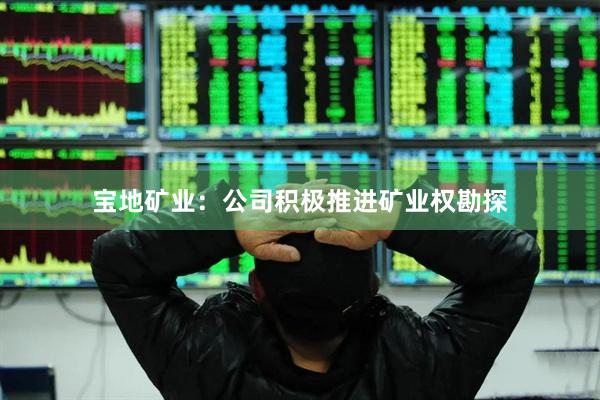 宝地矿业：公司积极推进矿业权勘探